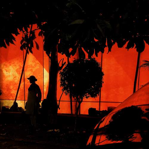 Photo #9010192