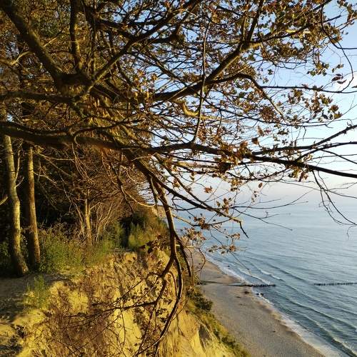 Photo #9010288