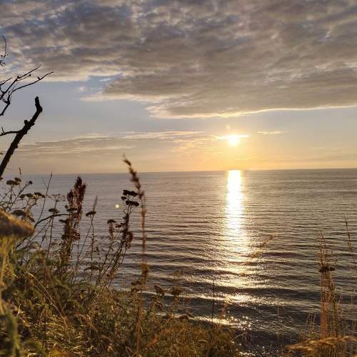 Photo #9010296