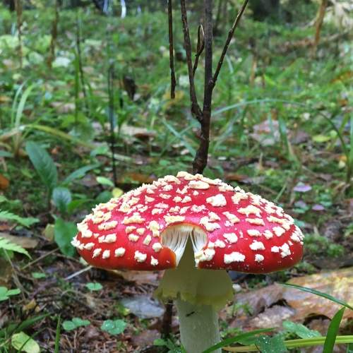 Photo #9010337