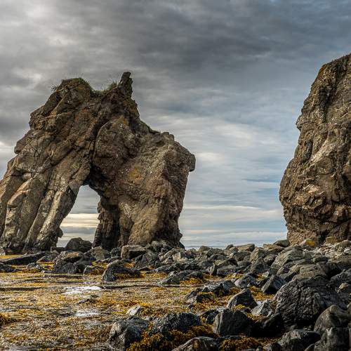 Фотография #9010372