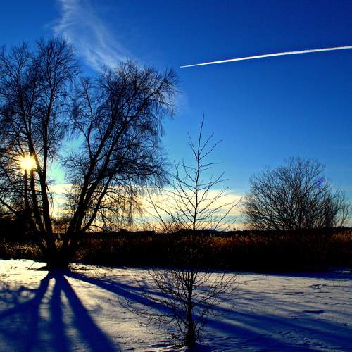 Photo #9010473