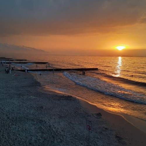 Photo #9010537
