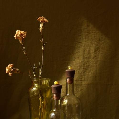 Photo #9010666