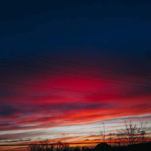 Photo #9010686