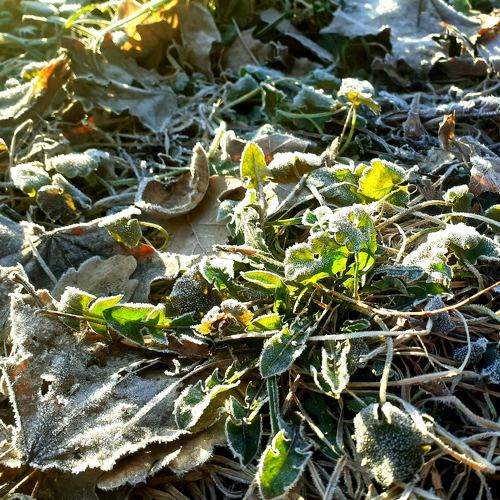 Photo #9010721