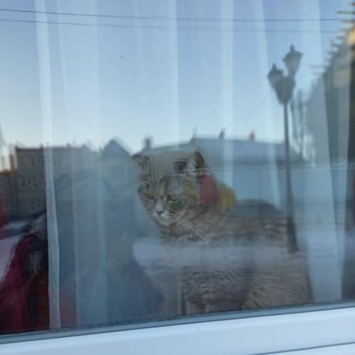 Photo #9011032