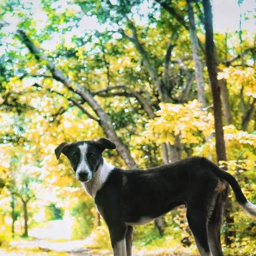 Photo #9011116