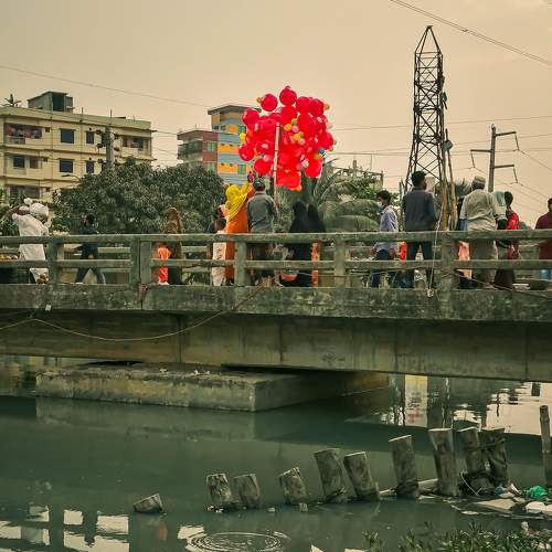 Photo #9011288