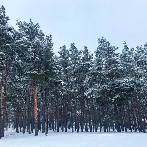 Photo #9011298