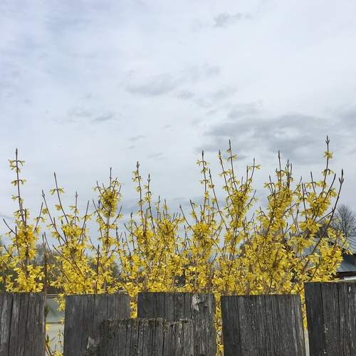 Photo #9011404