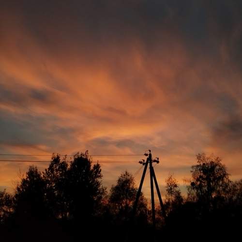 Photo #9011468