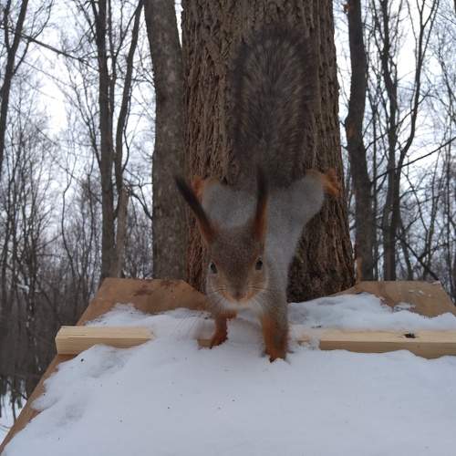 Photo #9012160