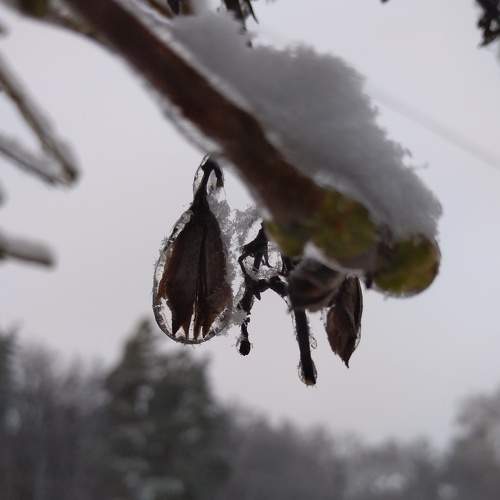 Photo #9012166