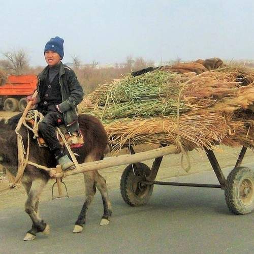 Тягловая сила