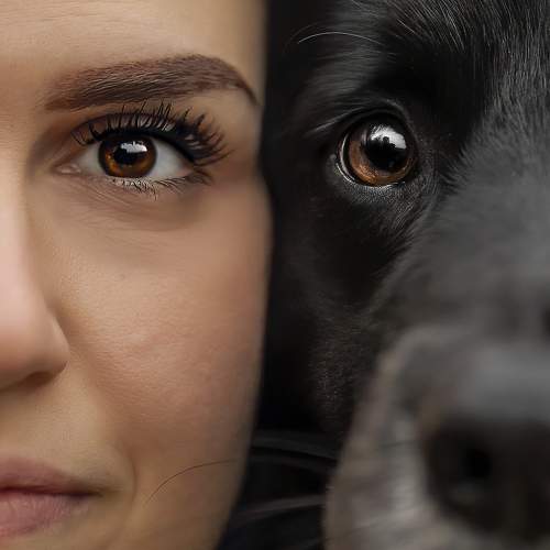 Photo #9012322