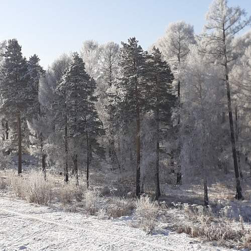Photo #9012869