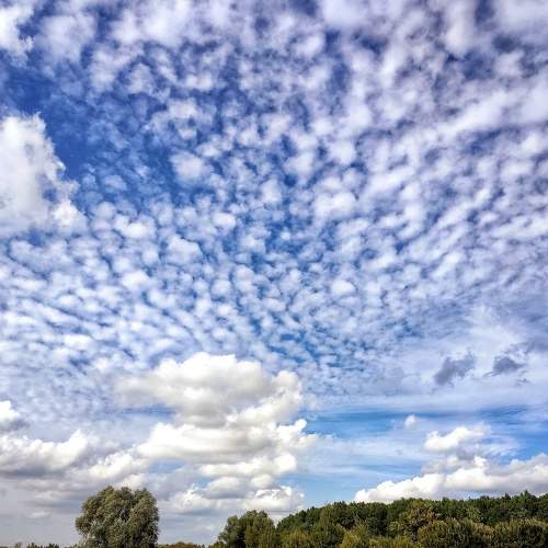Photo #9012886