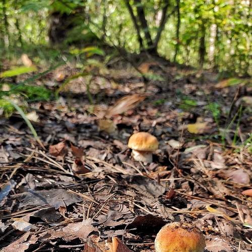 Photo #9012887