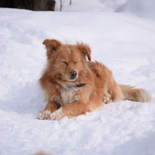 Photo #9013012