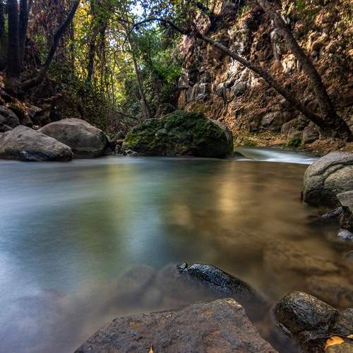 Photo #9013051