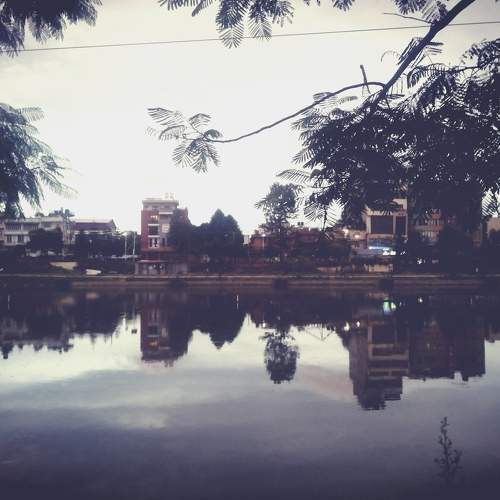 Reflection