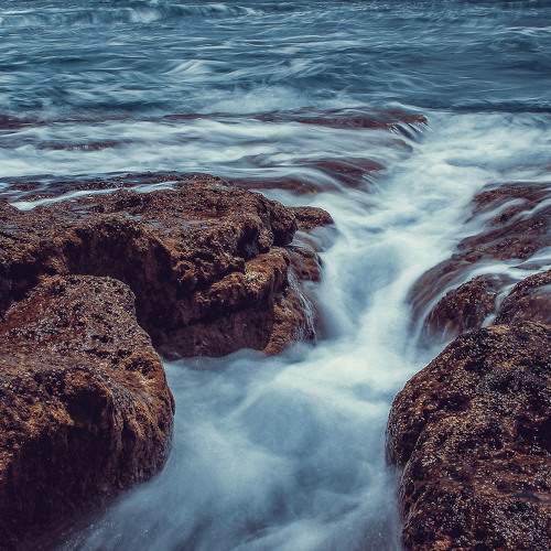 Photo #9013331