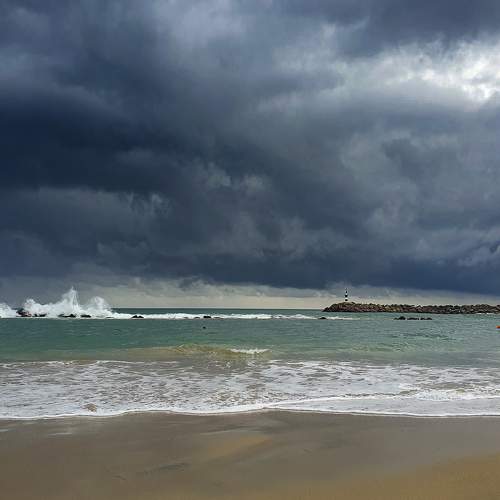 Photo #9013817