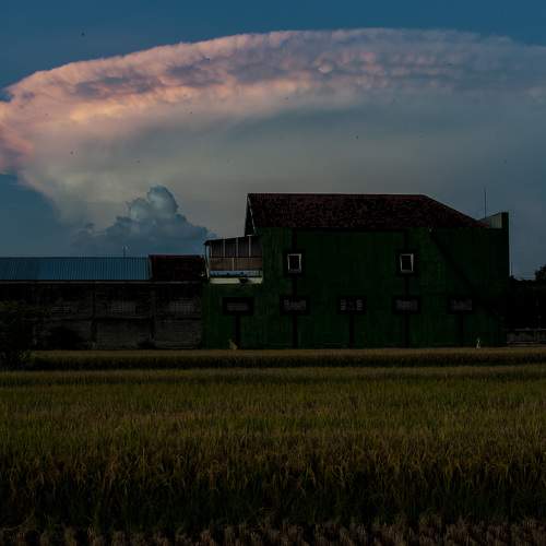 Photo #9013983