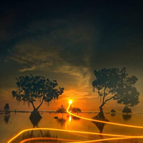 Attracting sunlight