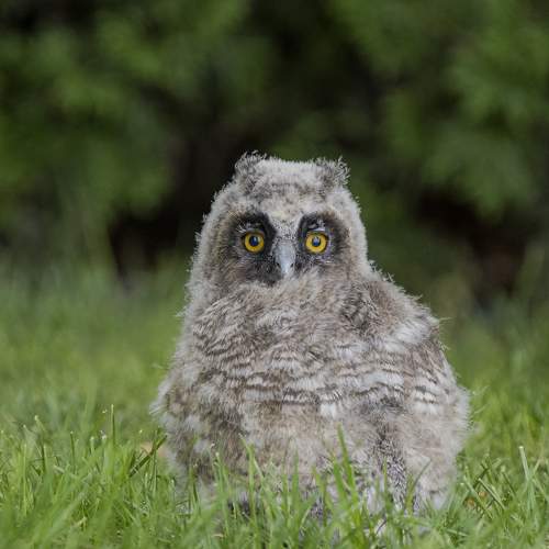 Photo #9014182