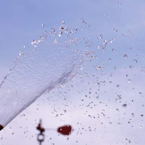 Photo #9014252