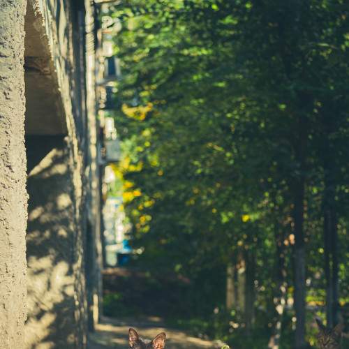 Фотография #9014377