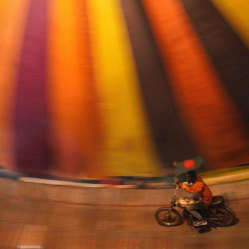 Photo #9014403