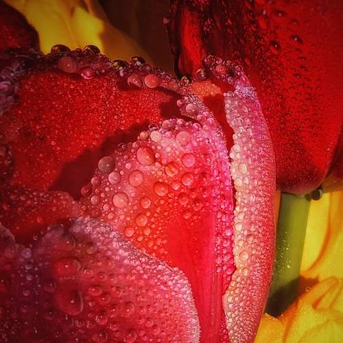 Photo #9015455