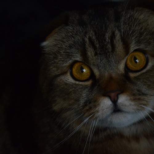 Photo #9015498