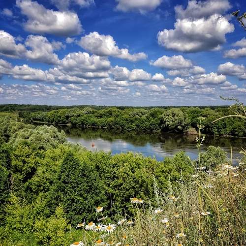 Photo #9015520