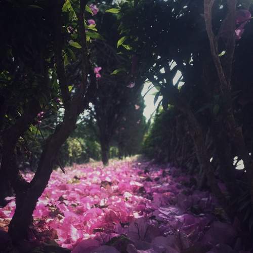 Photo #9015783