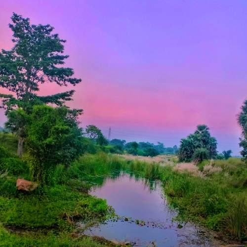 Nature