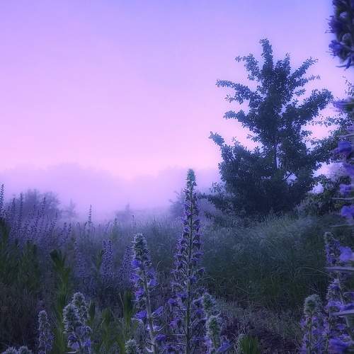 Photo #9016567