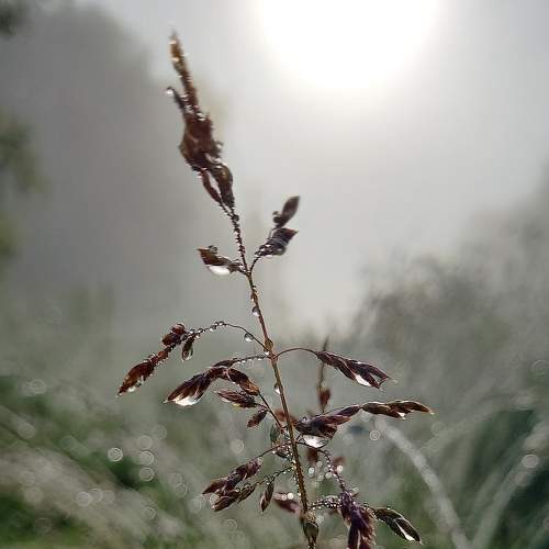 Photo #9016578