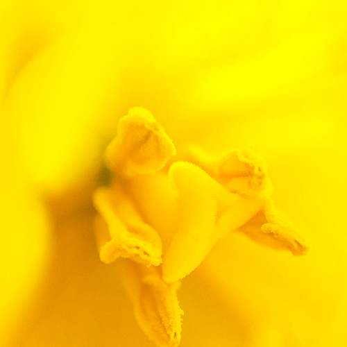 Photo #9016761