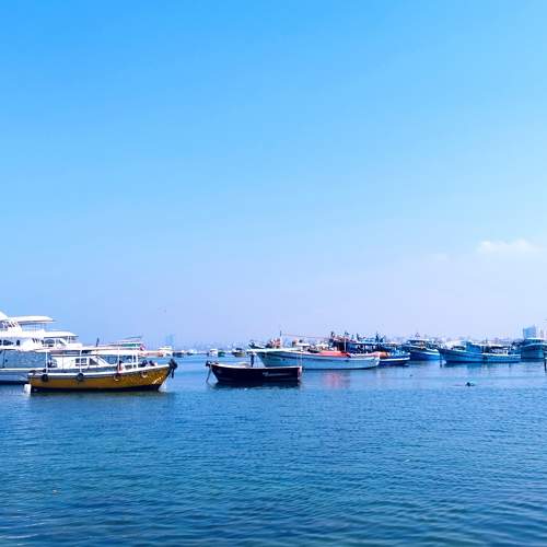 Sea