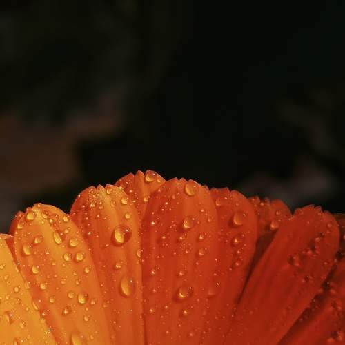 Photo #9017364