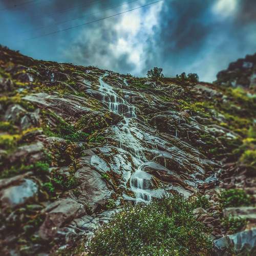 Photo #9017478