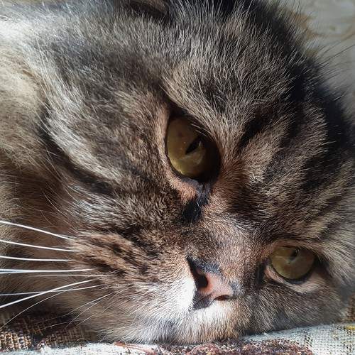 Photo #9017644