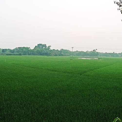Photo #9018013