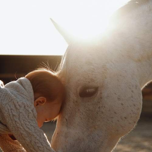 Photo #9018089