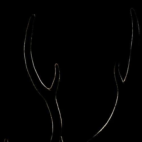 Photo #9018927