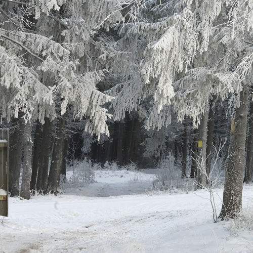 Photo #9019365